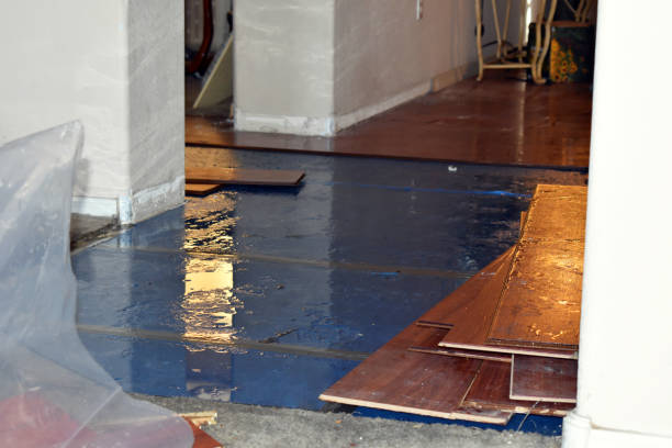 Professional Basement Flood Cleanup technician working in Glenford, OH